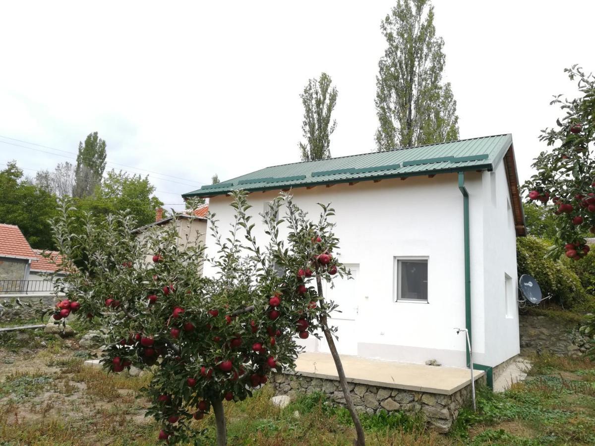 Dolno Dupeni Villa Lila מראה חיצוני תמונה