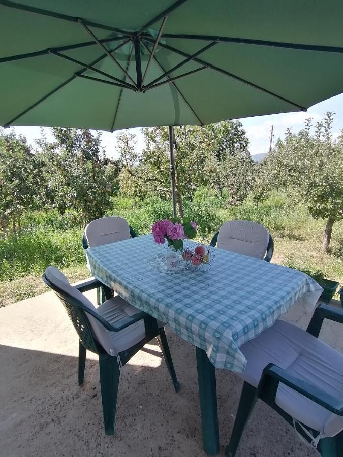 Dolno Dupeni Villa Lila מראה חיצוני תמונה