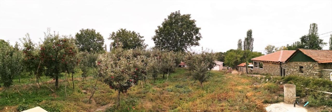 Dolno Dupeni Villa Lila מראה חיצוני תמונה