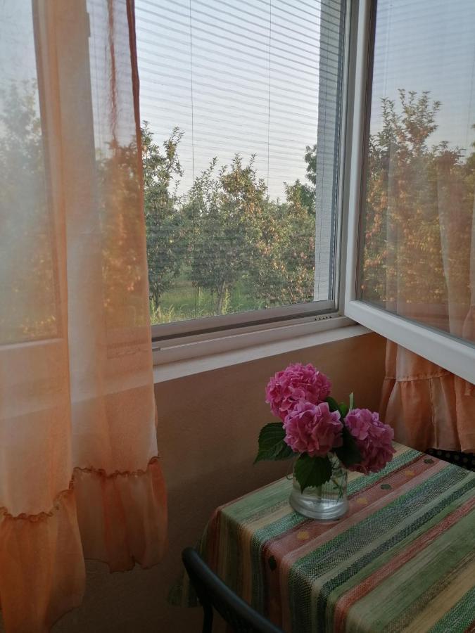 Dolno Dupeni Villa Lila מראה חיצוני תמונה